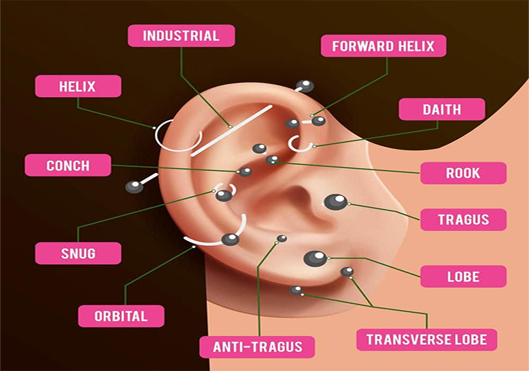 Detailed graphic explanation of ear piercing