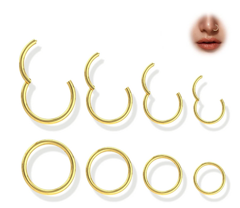 4Pairs/Pcs 18G Nose Rings Hoop Hinged Clicker Segment Cartilage Tragus Earrings Hoop